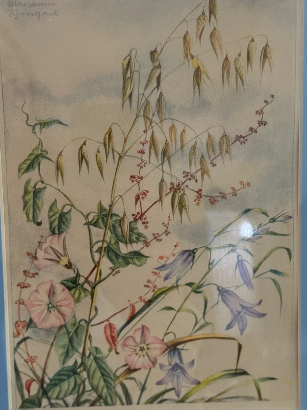 Framed Botanical Print with Blue Mat in Warm Wood Frame